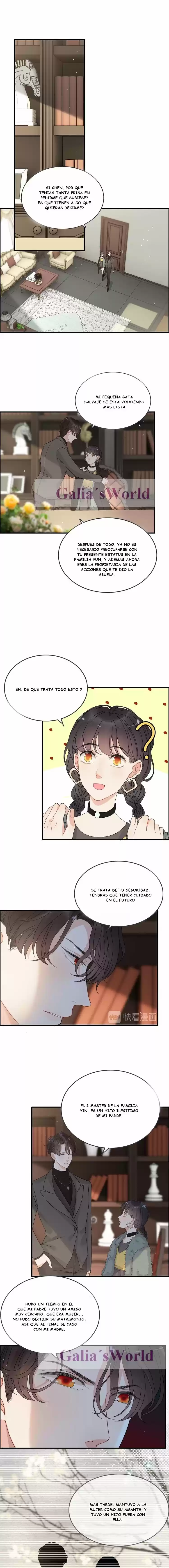 The Ceo's Pregnant Wife - Capítulo 222 - Página 3 - LectorTMOo