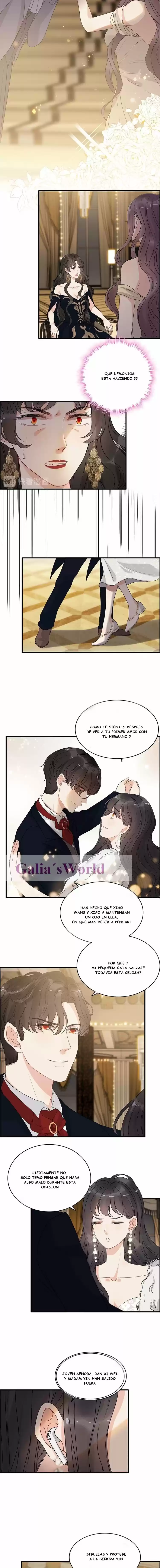 The Ceo's Pregnant Wife - Capítulo 226 - Página 2 - LectorTMOo