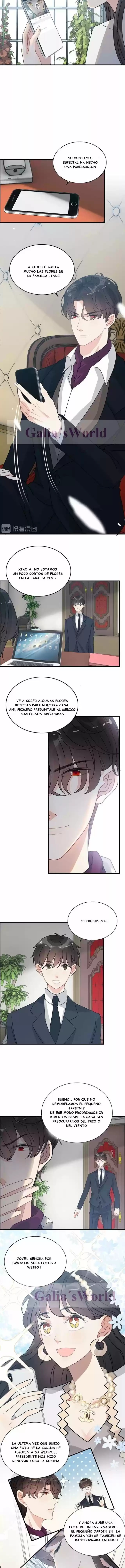 The Ceo's Pregnant Wife - Capítulo 236 - Página 5 - LectorTMOo