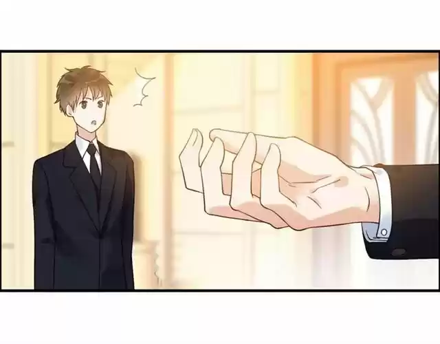 The Ceo's Pregnant Wife - Capítulo 24 - Página 10 - LectorTMOo