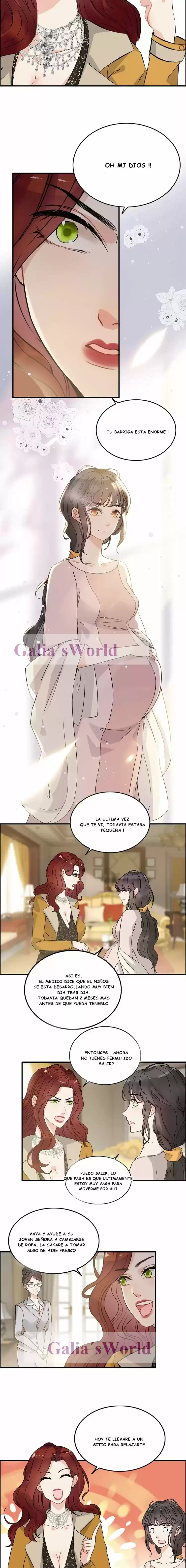 The Ceo's Pregnant Wife - Capítulo 240 - Página 6 - LectorTMOo