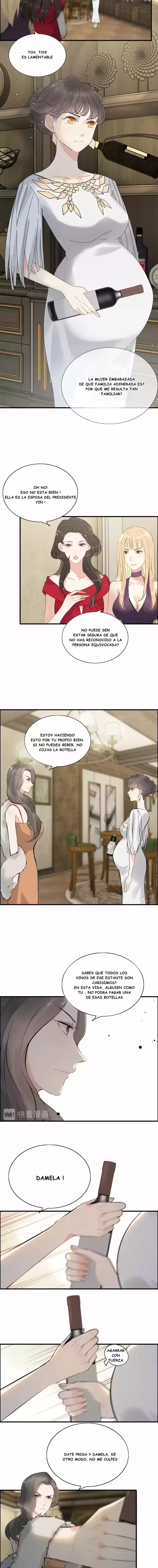 The Ceo's Pregnant Wife - Capítulo 243 - Página 2 - LectorTMOo