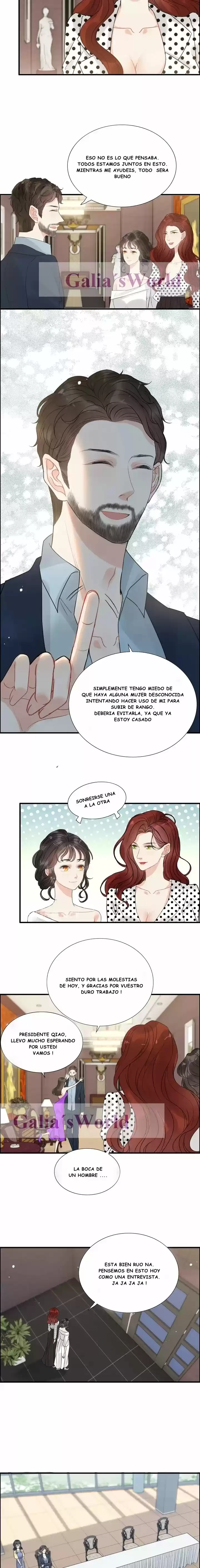 The Ceo's Pregnant Wife - Capítulo 247 - Página 2 - LectorTMOo
