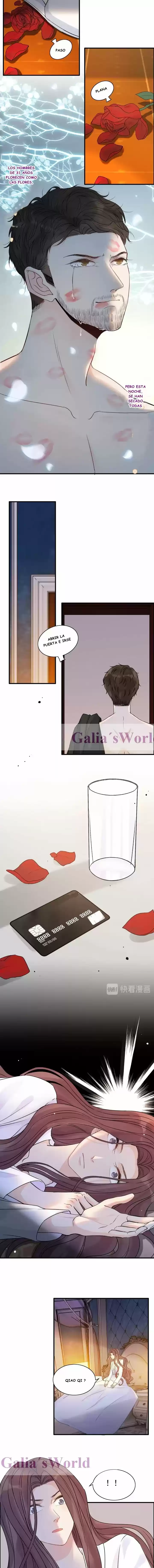 The Ceo's Pregnant Wife - Capítulo 251 - Página 4 - LectorTMOo