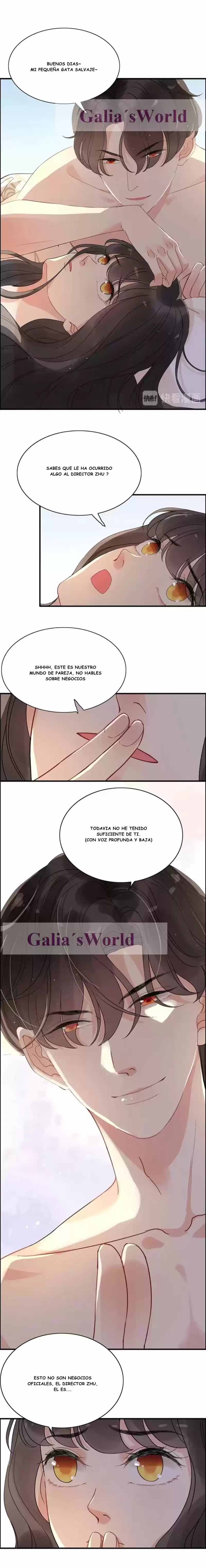 The Ceo's Pregnant Wife - Capítulo 257 - Página 4 - LectorTMOo