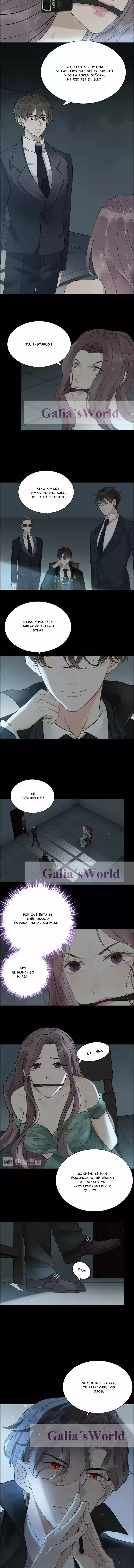 The Ceo's Pregnant Wife - Capítulo 262 - Página 3 - LectorTMOo
