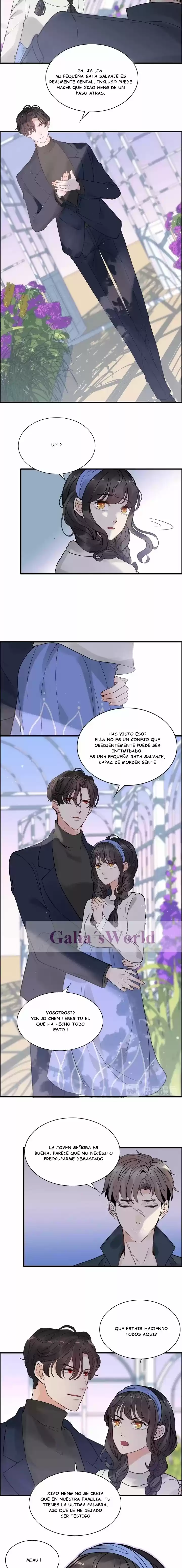 The Ceo's Pregnant Wife - Capítulo 265 - Página 5 - LectorTMOo