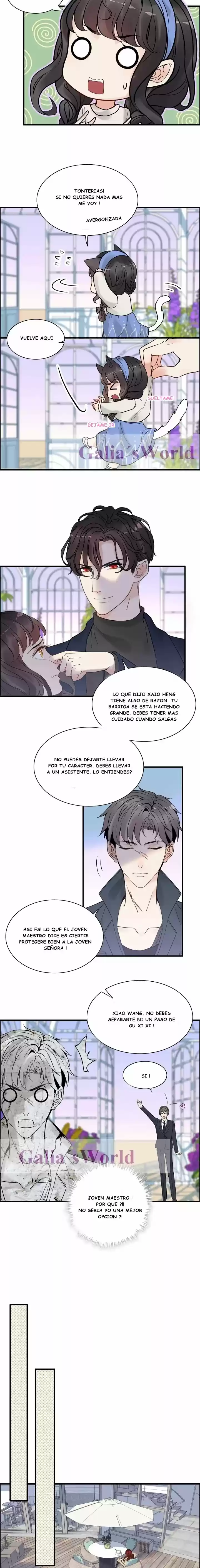 The Ceo's Pregnant Wife - Capítulo 265 - Página 6 - LectorTMOo