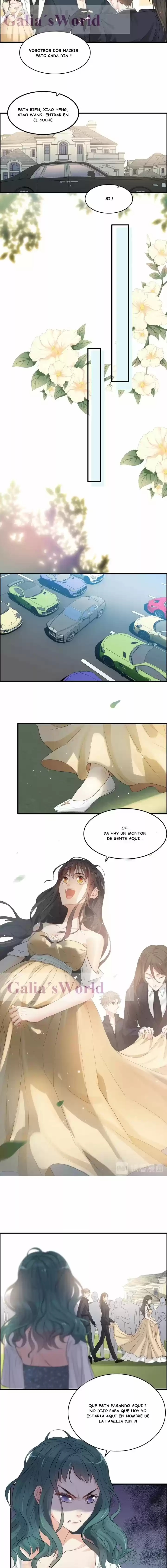 The Ceo's Pregnant Wife - Capítulo 288 - Página 2 - LectorTMOo