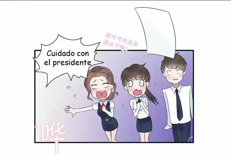 The Ceo's Pregnant Wife - Capítulo 4 - Página 18 - LectorTMOo