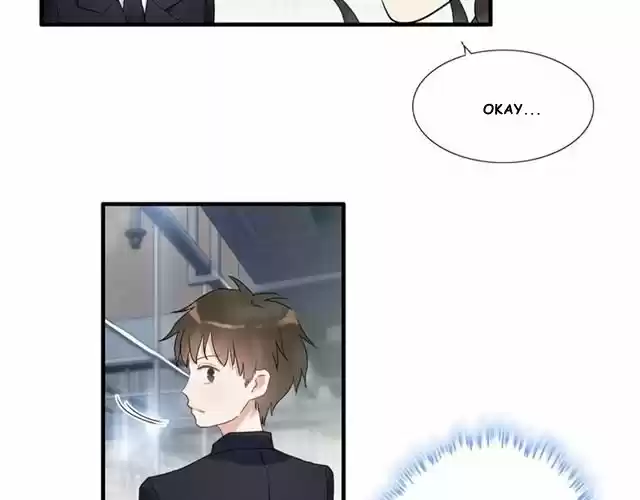 The Ceo's Pregnant Wife - Capítulo 40 - Página 16 - LectorTMOo