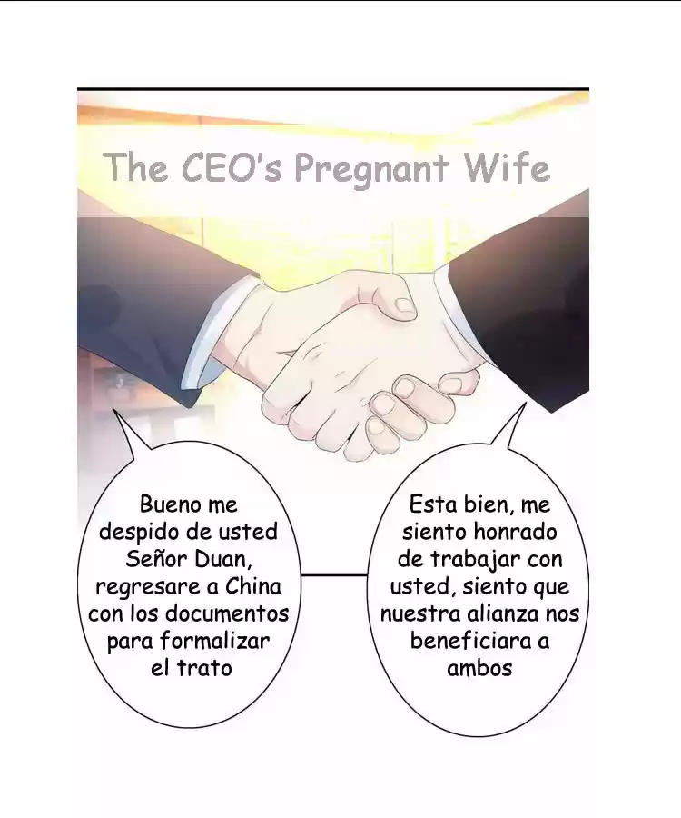 The Ceo's Pregnant Wife - Capítulo 5 - Página 17 - LectorTMOo