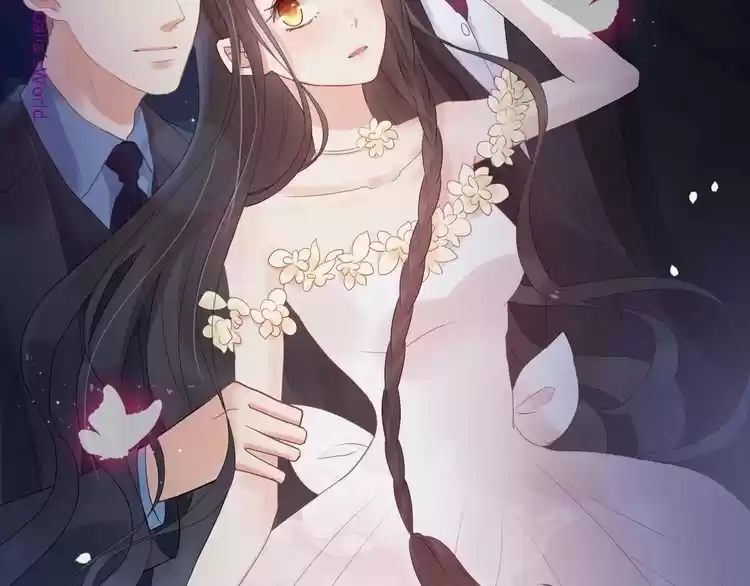 The Ceo's Pregnant Wife - Capítulo 54 - Página 73 - LectorTMOo