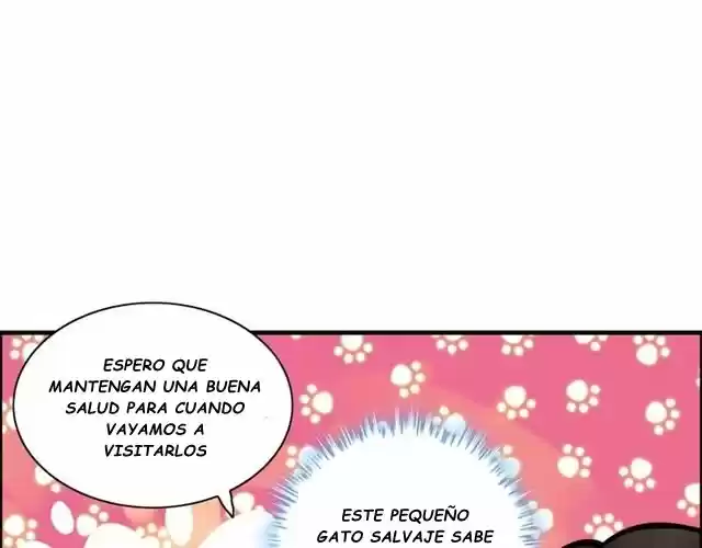 The Ceo's Pregnant Wife - Capítulo 62 - Página 32 - LectorTMOo