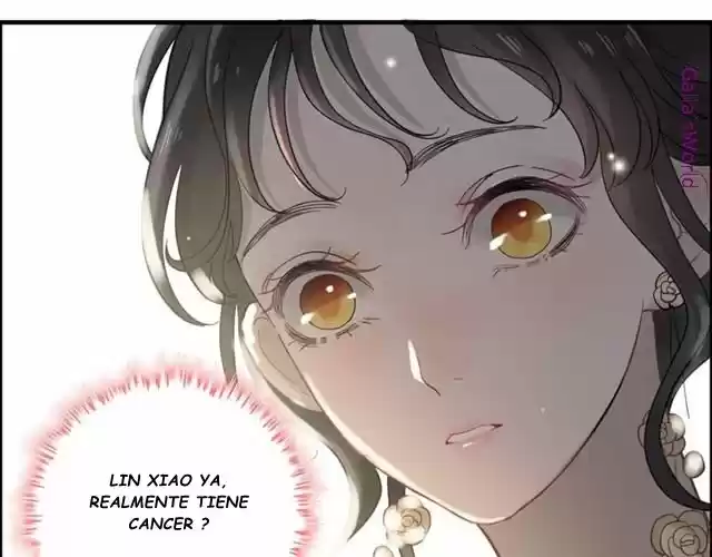 The Ceo's Pregnant Wife - Capítulo 64 - Página 42 - LectorTMOo