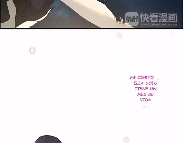 The Ceo's Pregnant Wife - Capítulo 65 - Página 17 - LectorTMOo