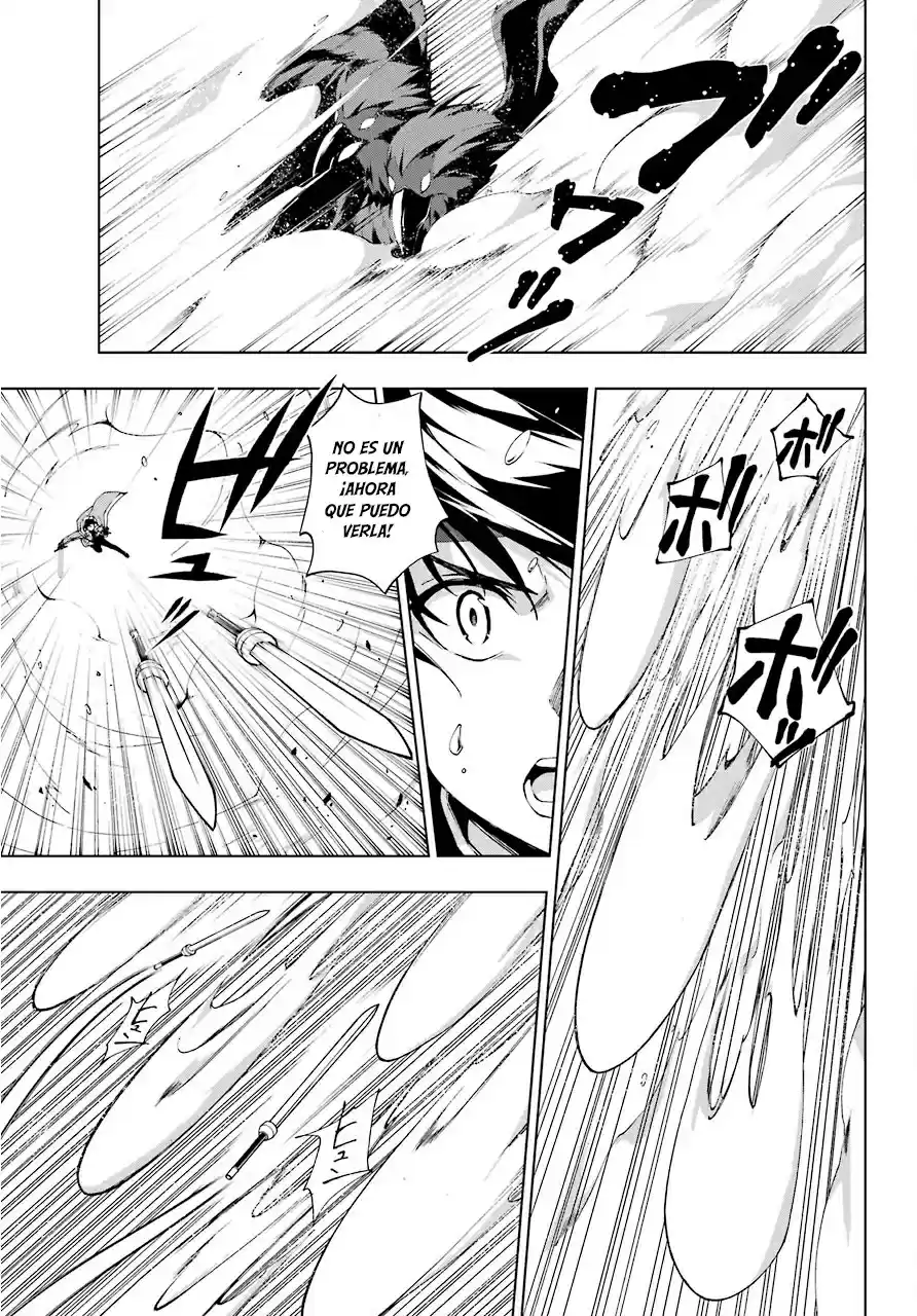 The Swordsman Called The Countless Swords Sorcerer - Capítulo 14 - Página 33 - LectorTMOo