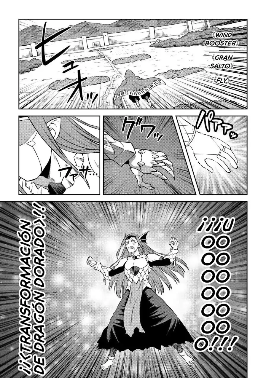 To Aru Ossan No VRMMO Katsudouki - Capítulo 86 - Página 13 - LectorTMOo