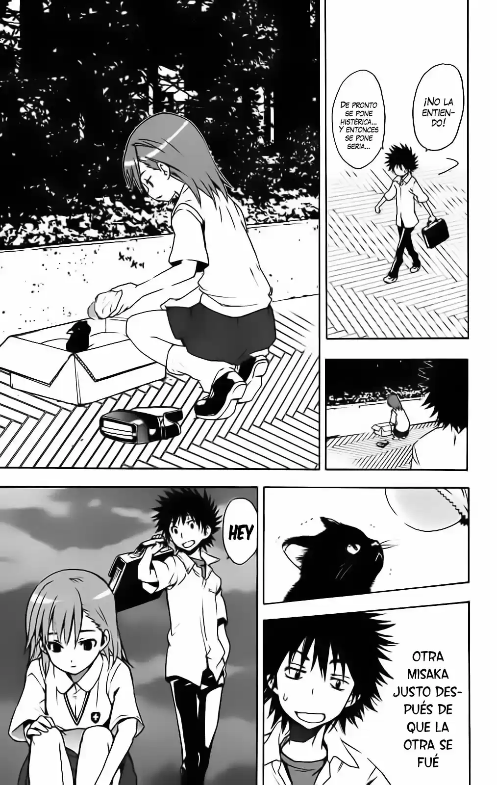 Toaru Majutsu No Index capítulo 13 página 12