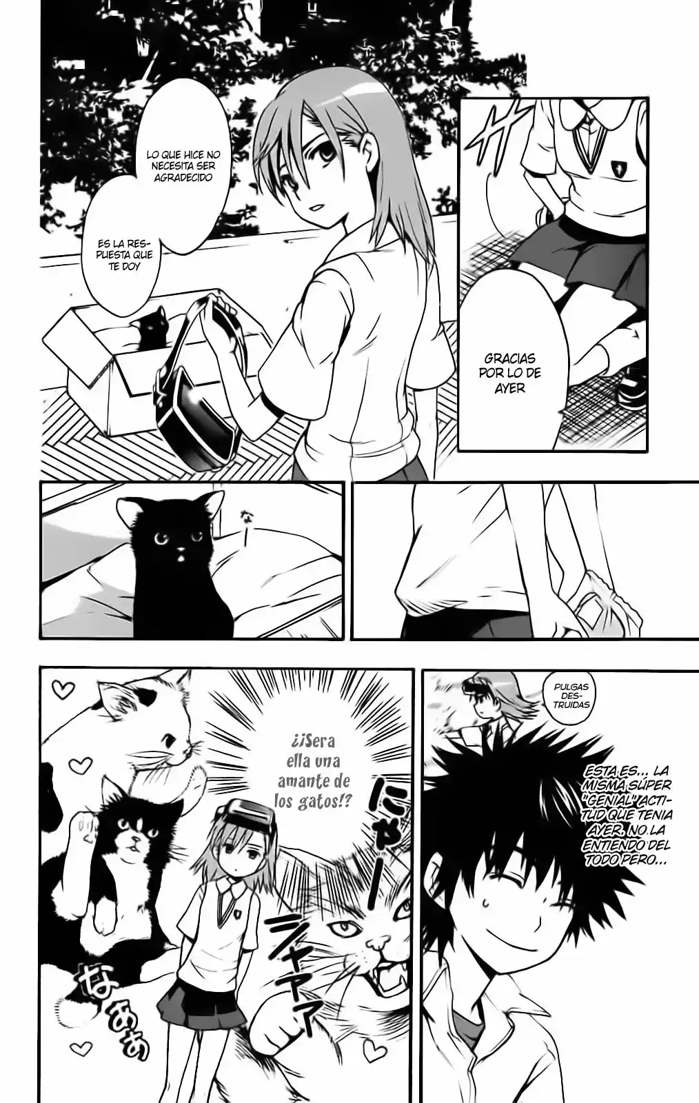 Toaru Majutsu No Index capítulo 13 página 13