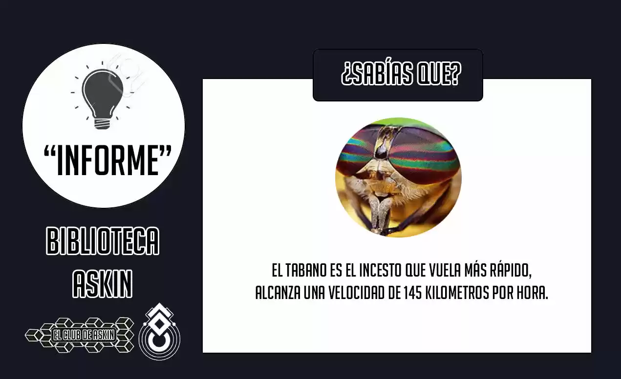 Tougen Anki - Capítulo 11 - Página 20 - LectorTMOo