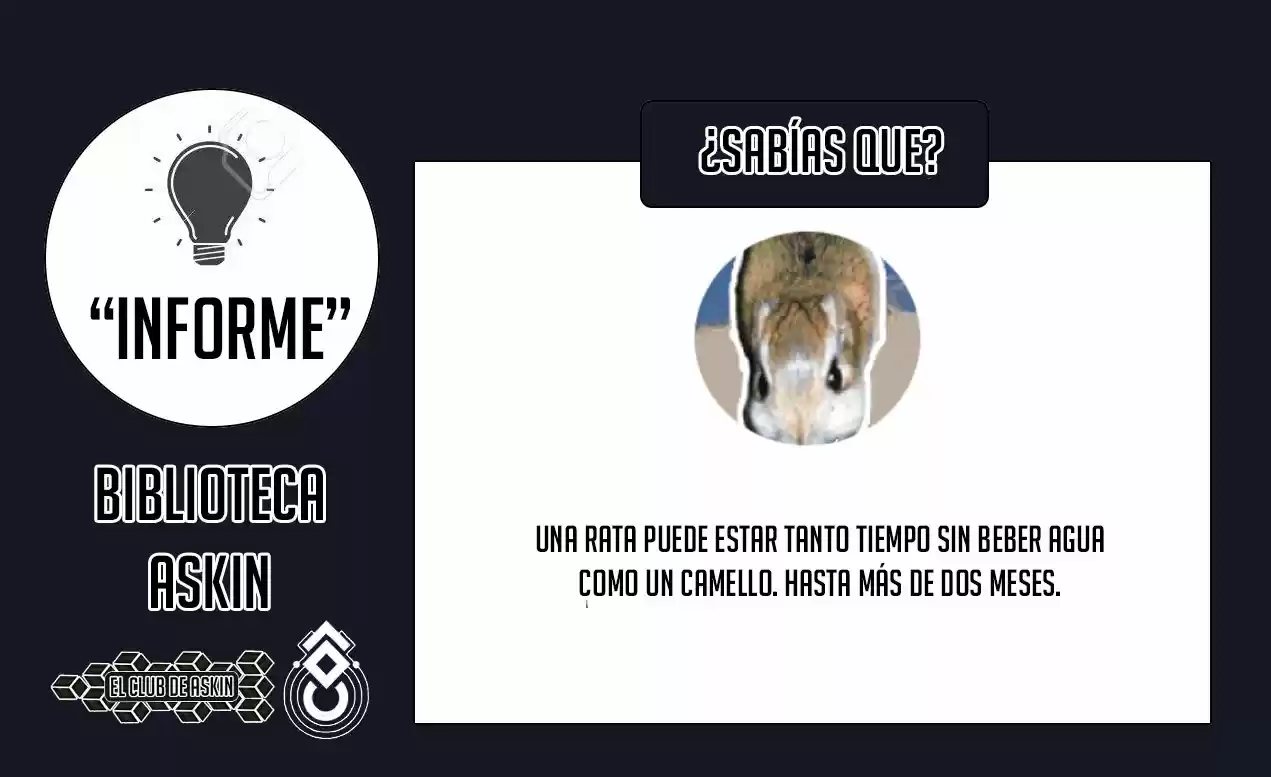 Tougen Anki - Capítulo 18 - Página 25 - LectorTMOo