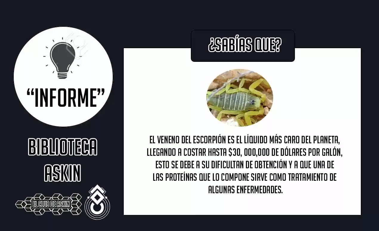 Tougen Anki - Capítulo 28 - Página 25 - LectorTMOo