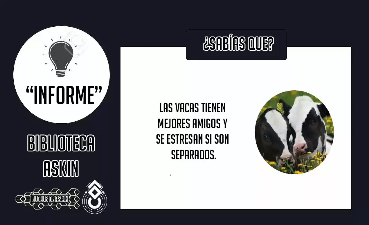 Tougen Anki - Capítulo 36 - Página 23 - LectorTMOo