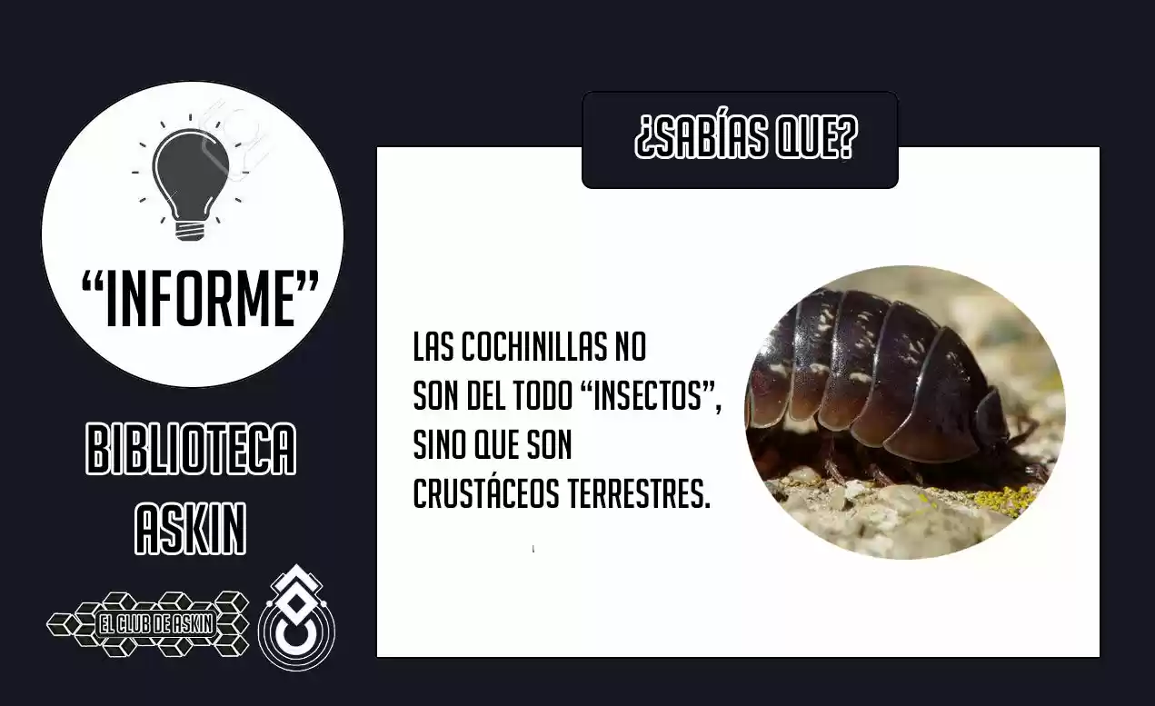 Tougen Anki - Capítulo 37 - Página 24 - LectorTMOo
