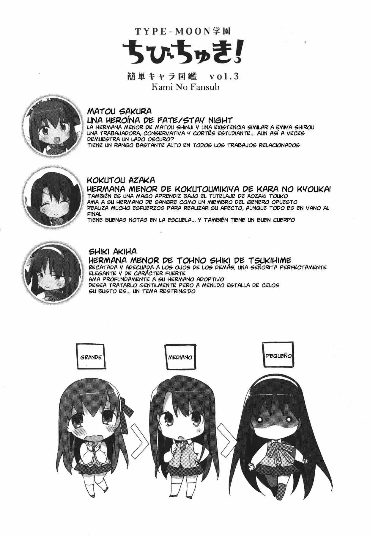 Type-Moon Gakuen - Chibi Chuki! - Capítulo 2 - Página 19 - LectorTMOo