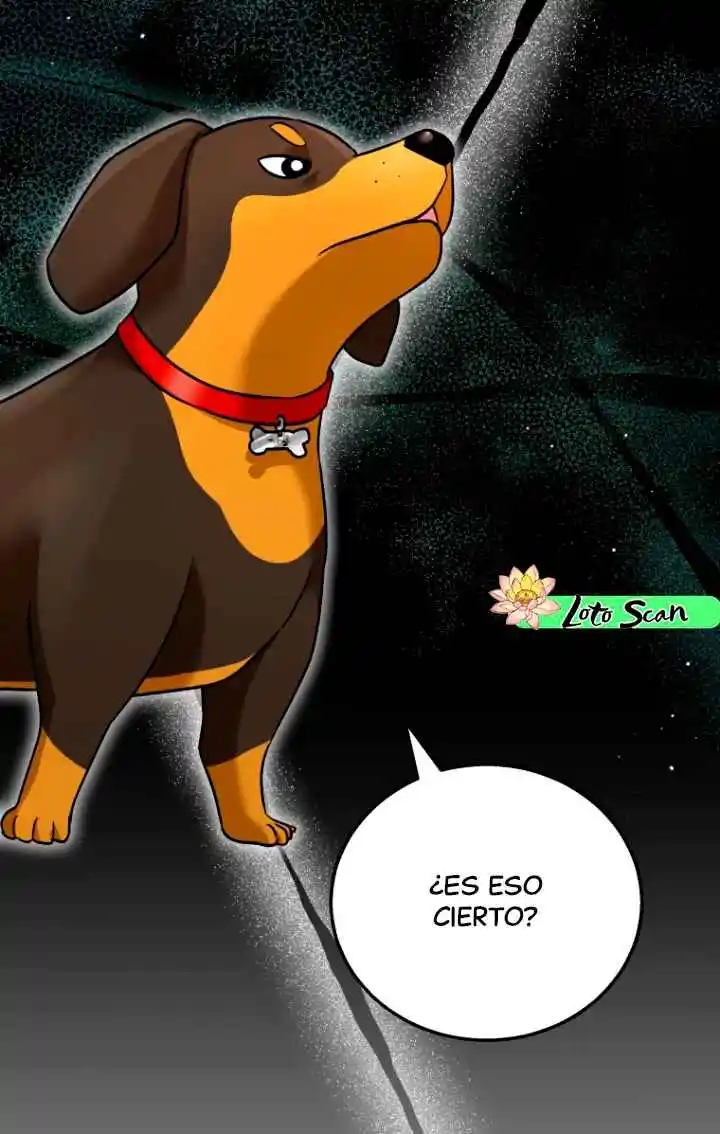 ¡Veterinario! ¿Hola? - Capítulo - Página 3 - LectorTMOo