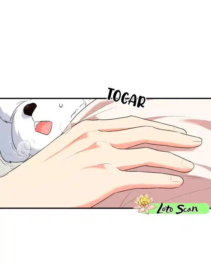 ¡Veterinario! ¿Hola? - Capítulo 1 - Página 28 - LectorTMOo
