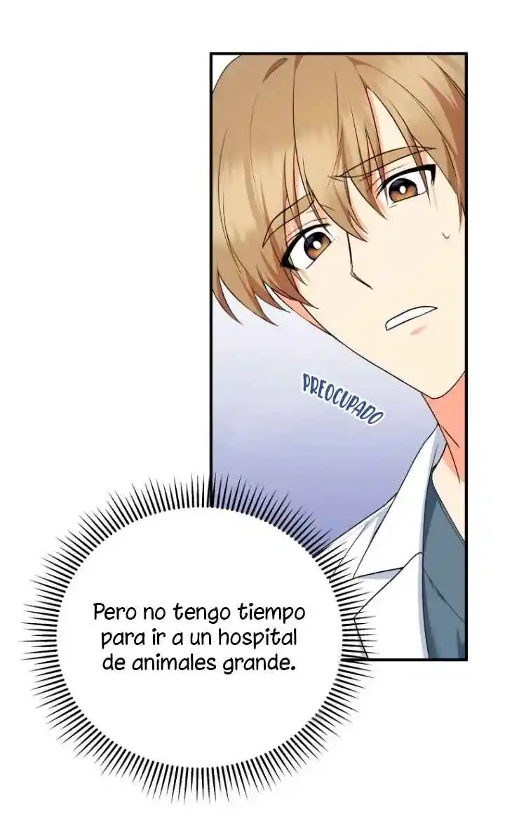 ¡Veterinario! ¿Hola? - Capítulo 1 - Página 33 - LectorTMOo