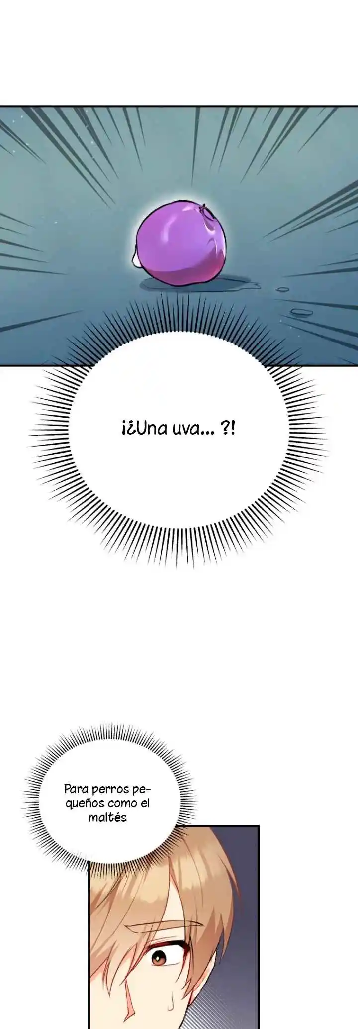 ¡Veterinario! ¿Hola? - Capítulo 1 - Página 41 - LectorTMOo