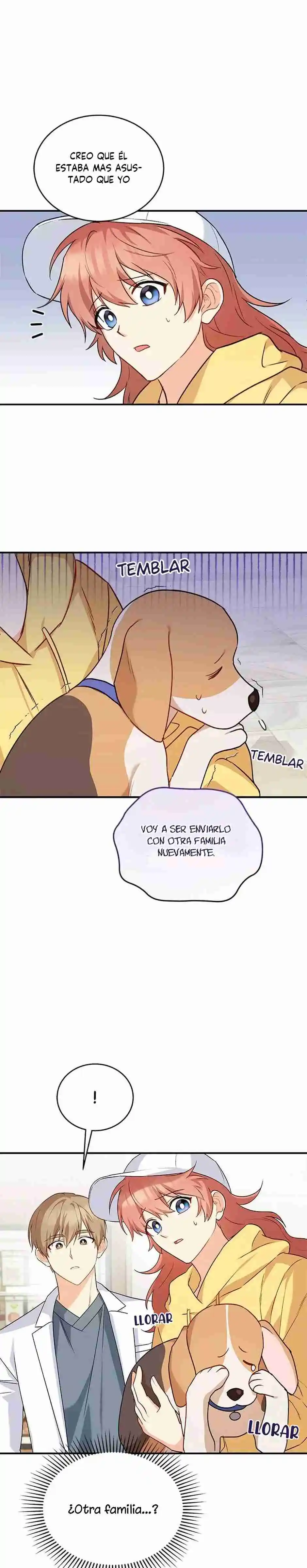 ¡Veterinario! ¿Hola? - Capítulo 10 - Página 21 - LectorTMOo