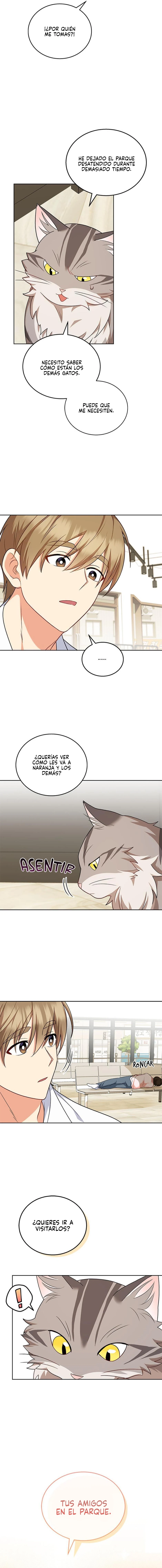 ¡Veterinario! ¿Hola? - Capítulo 21 - Página 5 - LectorTMOo