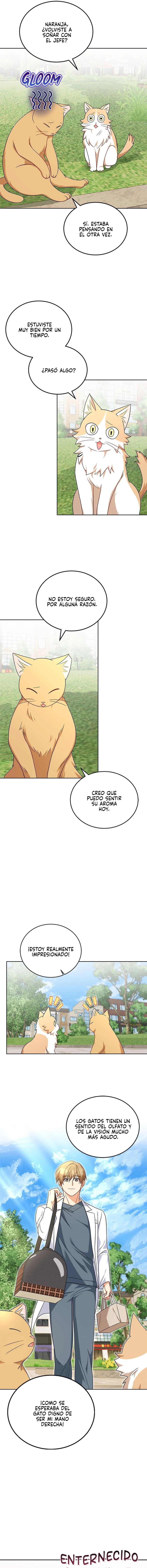 ¡Veterinario! ¿Hola? - Capítulo 21 - Página 8 - LectorTMOo