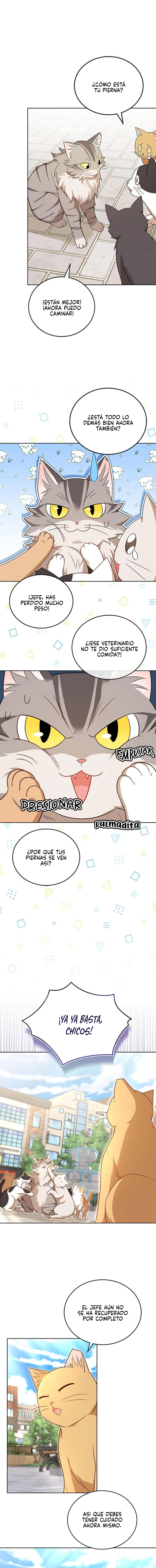 ¡Veterinario! ¿Hola? - Capítulo 21 - Página 10 - LectorTMOo