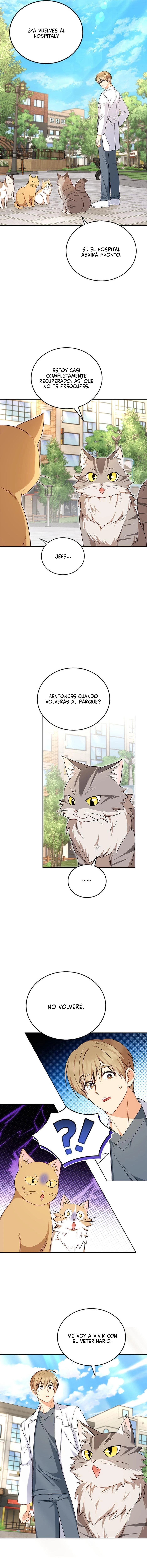 ¡Veterinario! ¿Hola? - Capítulo 21 - Página 12 - LectorTMOo