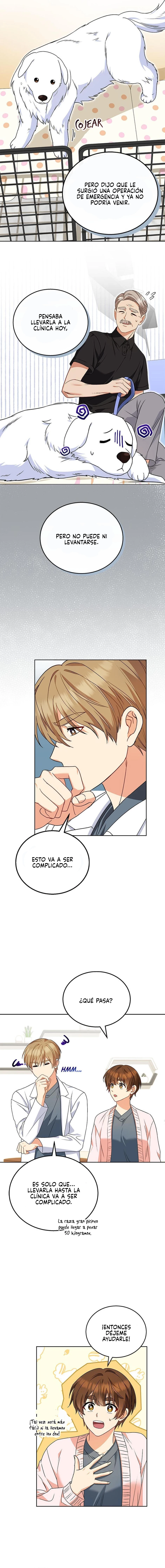 ¡Veterinario! ¿Hola? - Capítulo 22 - Página 10 - LectorTMOo