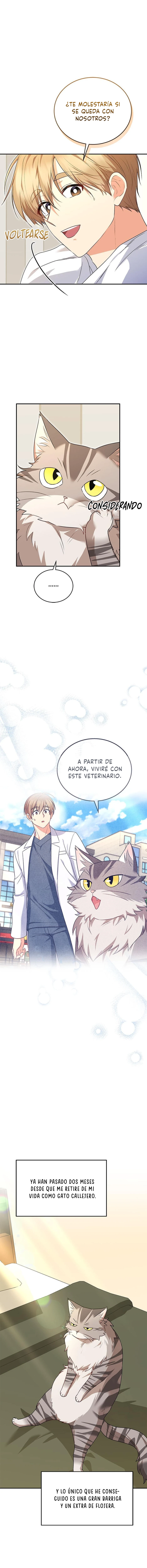¡Veterinario! ¿Hola? - Capítulo 30 - Página 4 - LectorTMOo