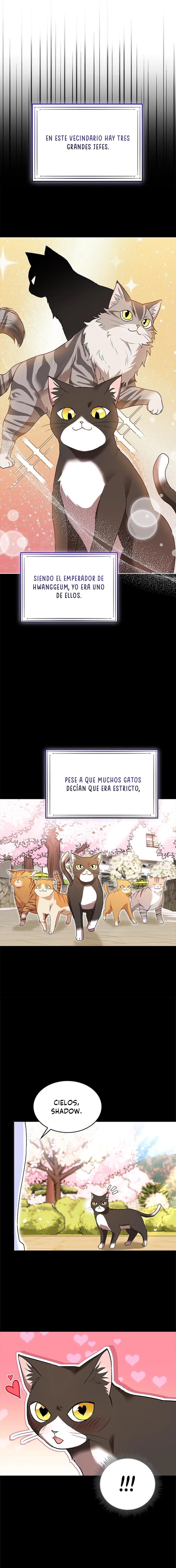 ¡Veterinario! ¿Hola? - Capítulo 30 - Página 13 - LectorTMOo