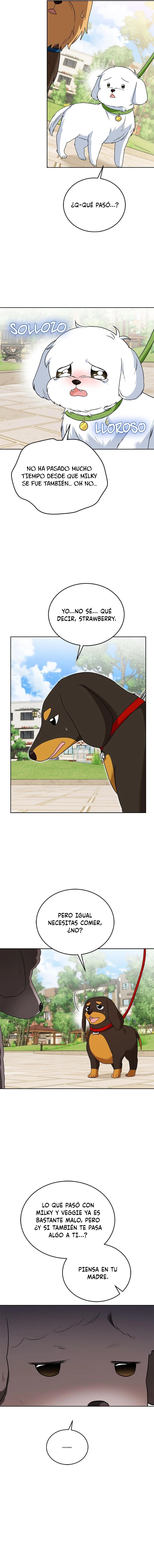 ¡Veterinario! ¿Hola? - Capítulo 32 - Página 13 - LectorTMOo