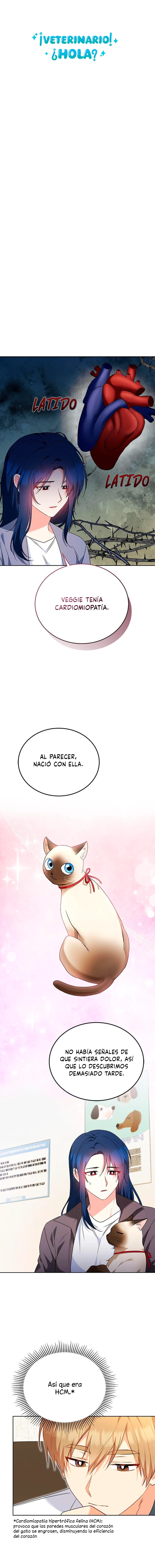 ¡Veterinario! ¿Hola? - Capítulo 33 - Página 5 - LectorTMOo