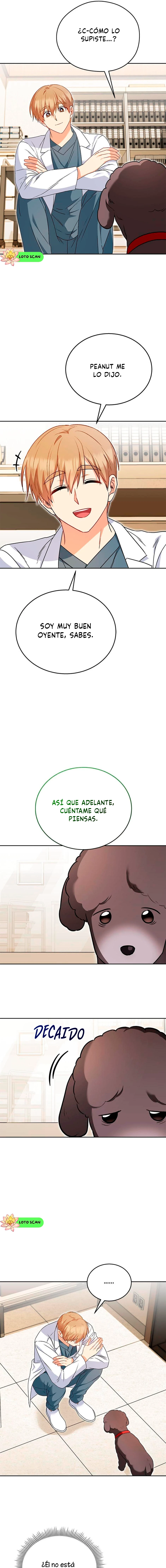 ¡Veterinario! ¿Hola? - Capítulo 33 - Página 12 - LectorTMOo