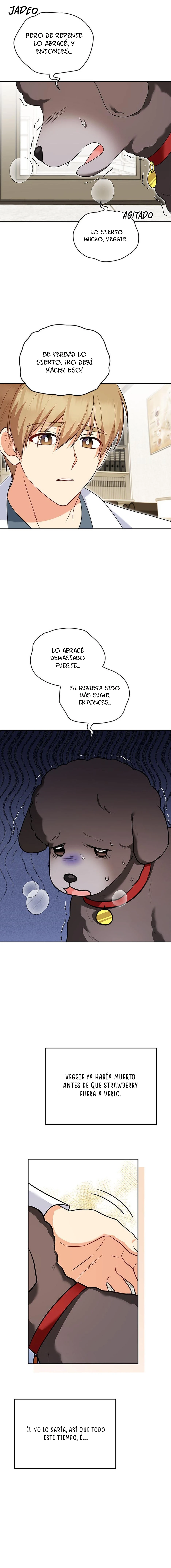 ¡Veterinario! ¿Hola? - Capítulo 34 - Página 8 - LectorTMOo