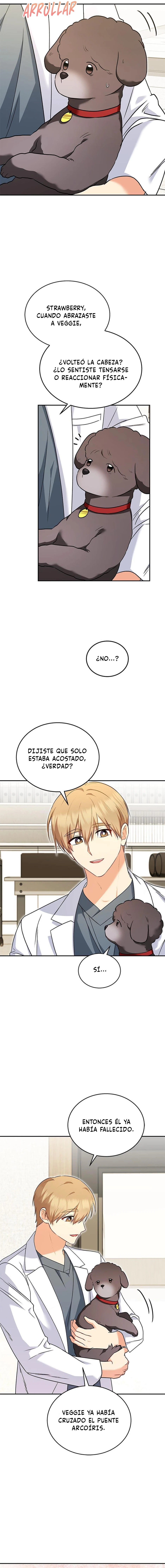 ¡Veterinario! ¿Hola? - Capítulo 34 - Página 9 - LectorTMOo