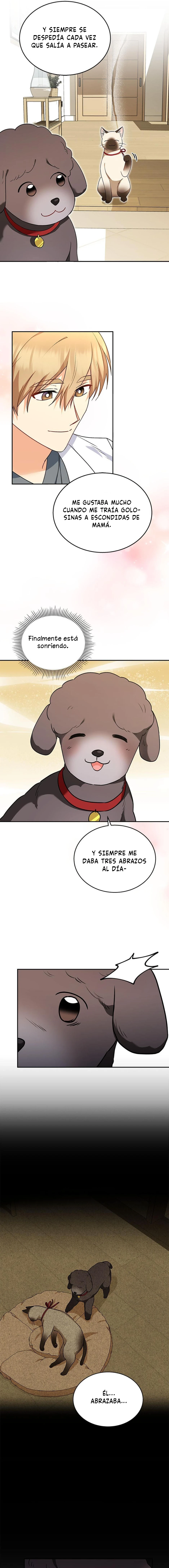 ¡Veterinario! ¿Hola? - Capítulo 34 - Página 12 - LectorTMOo