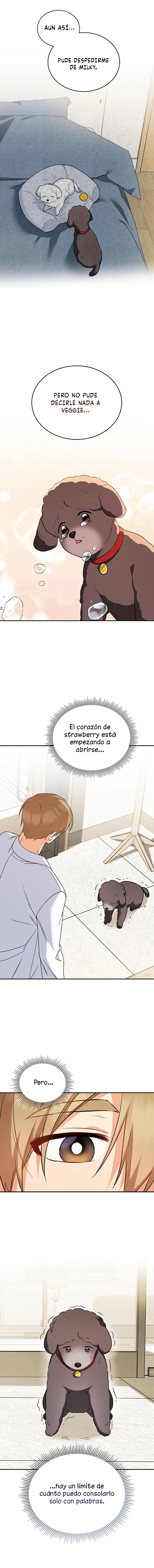 ¡Veterinario! ¿Hola? - Capítulo 34 - Página 15 - LectorTMOo