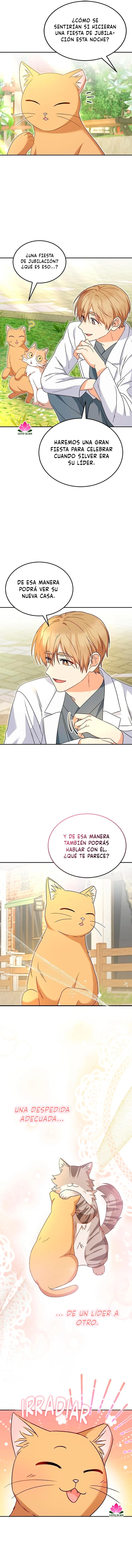¡Veterinario! ¿Hola? - Capítulo 37 - Página 10 - LectorTMOo